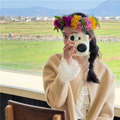 极岛森林